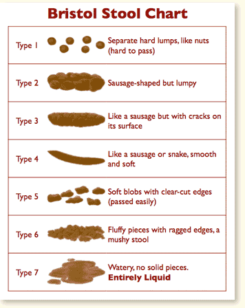 Developing a Good Bowel Habit