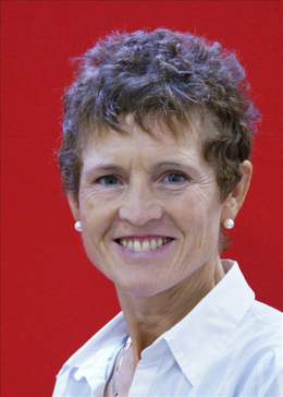 lead Article Image
